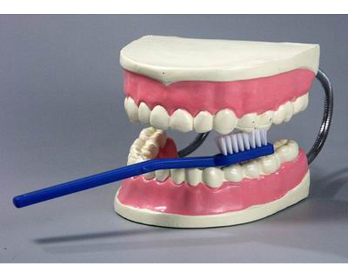 Модель "Уход за зубами"