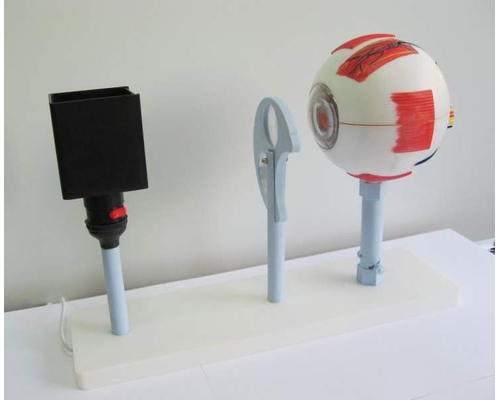 Модель "Зрение" (электрическая)