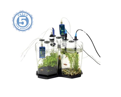 НАБОР "ЭКОСИСТЕМА"