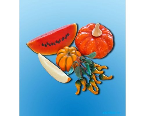 Набор муляжей "Бахчевые культуры"