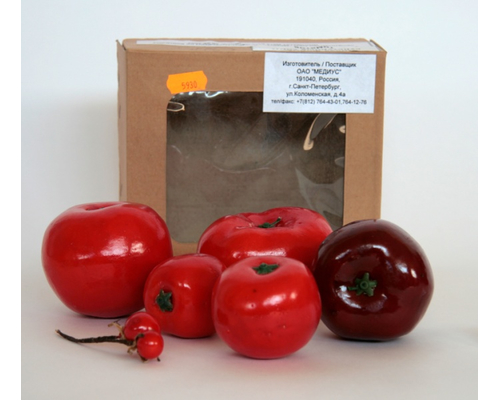 Набор муляжей "Дикая форма и культурные сорта томатов"