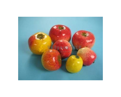 Набор муляжей "Дикая форма  и культурные сорта яблони"