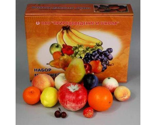 Набор муляжей фруктов (большой)