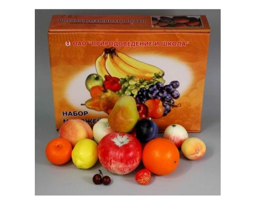 Набор муляжей фруктов (большой)