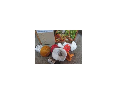 Набор муляжей грибов съедобных и ядовитых