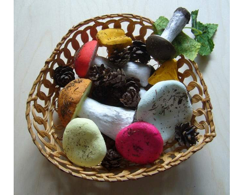 Набор муляжей грибов