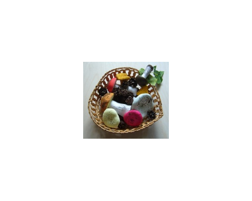 Набор муляжей грибов