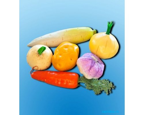 Набор муляжей "Корнеплоды"