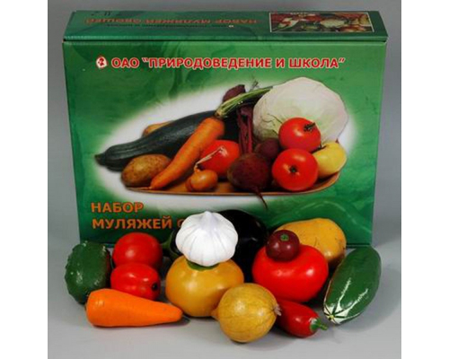 Набор муляжей овощей (большой)