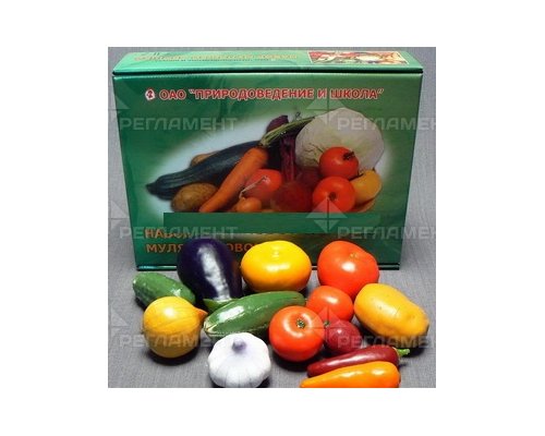 Набор муляжей овощей (большой)