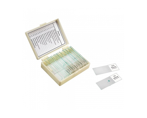 Набор препаратов "Ботаника" (16 обр. для школы)