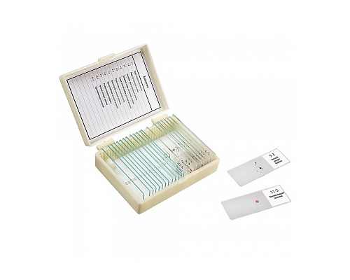 Набор препаратов "Зоология" (11 обр. для школы)