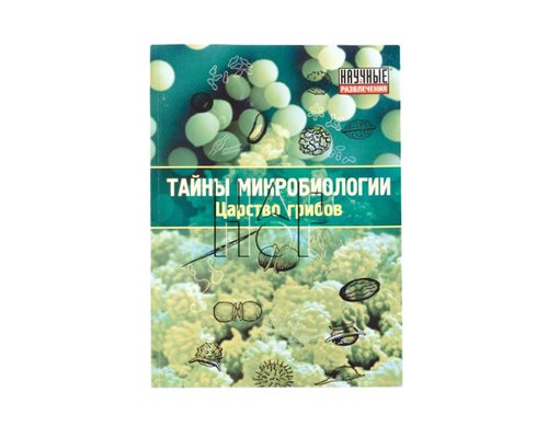 Набор "Тайны микробиологии" (Царство грибов)