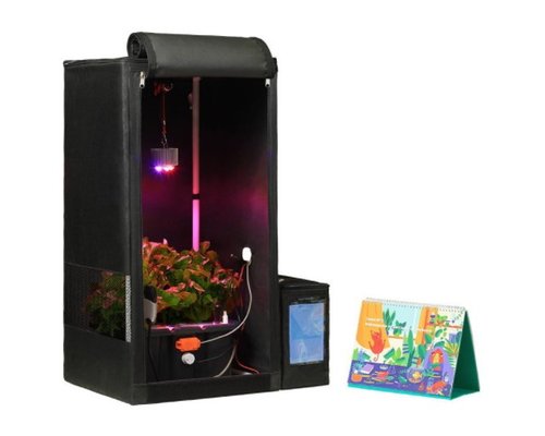 Образовательный набор «Лаборатория биолога»