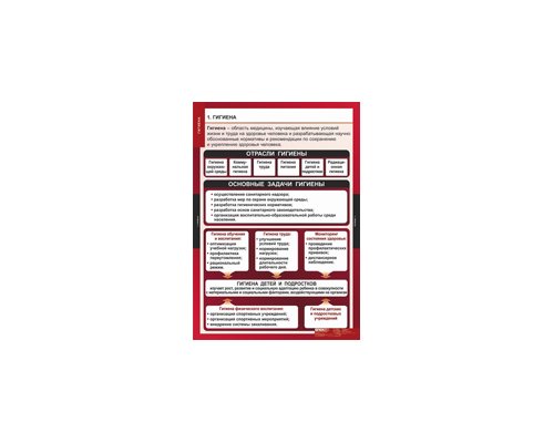 ОБЖ Гигиена