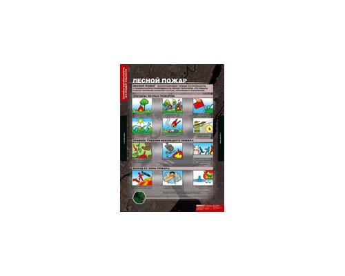 ОБЖ Основы безопасности жизнедеятельности