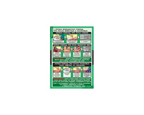 ОБЖ Правила оказания первой медицинской помощи