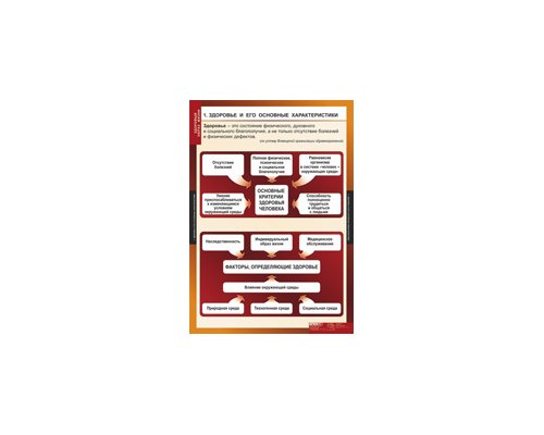 ОБЖ Здоровый образ жизни