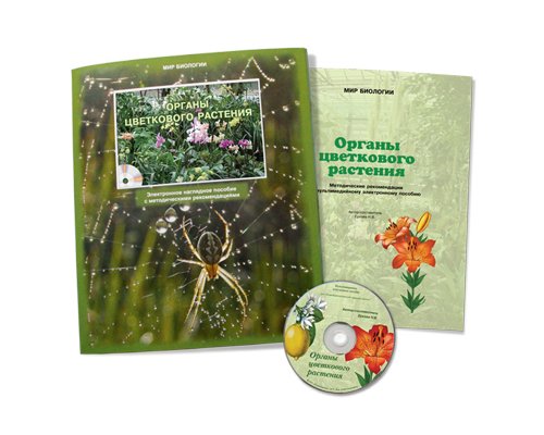 Органы цветкового растения