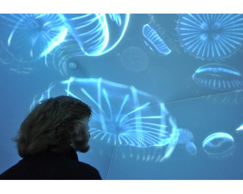 Планетарий «ОС3. Кубосвод» (полный комплект "под ключ")