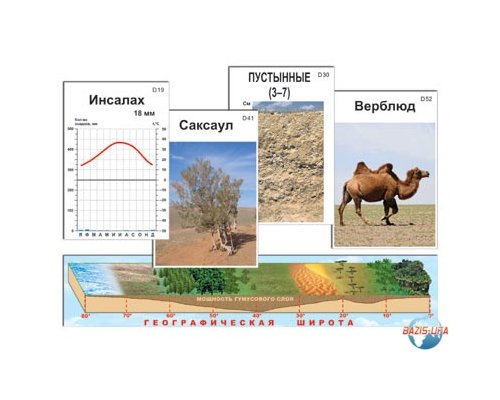 Природные зоны России, модель-аппликация (ламинированная)