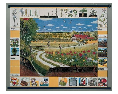 Природное сообщество поля. Магнитный плакат