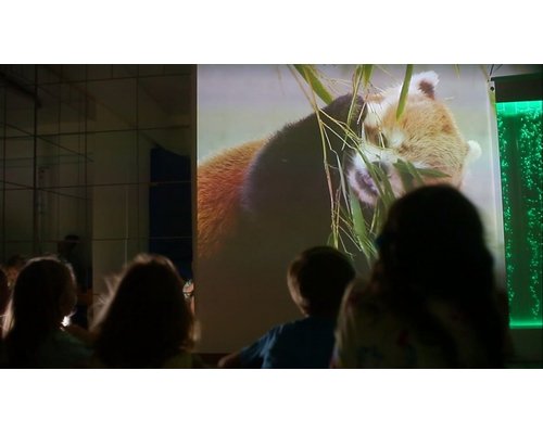 Программа для виртуальной волшебной комнаты + 1 год обновлений