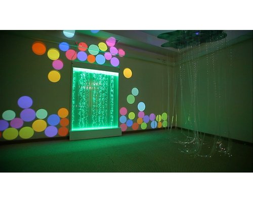 Программное обеспечение для сенсорной комнаты(лицензия для 1 проектора )