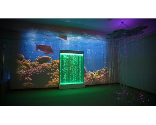 Программное обеспечение для сенсорной комнаты(лицензия для 1 проектора )