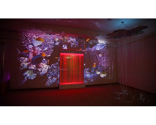 Программное обеспечение для сенсорной комнаты(лицензия для 1 проектора )