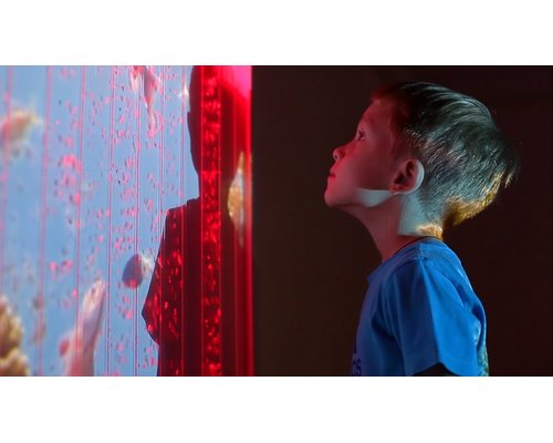 Программное обеспечение для сенсорной комнаты(лицензия для 1 проектора )