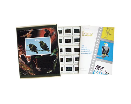 Птицы  (100 шт)