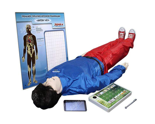 Робот-тренажер "Антон-1.01" с беспроводным планшетным компьютером