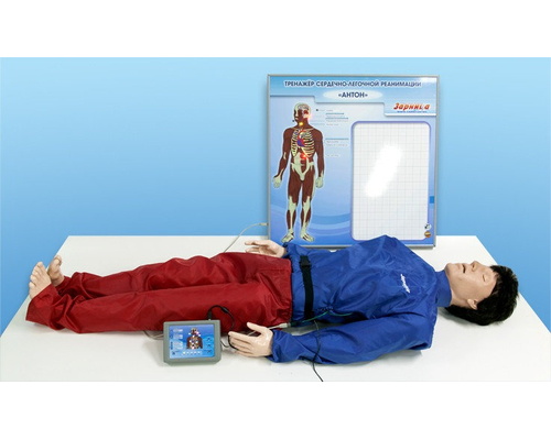 Робот-тренажер "Антон-1.01 Травма"