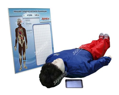 Робот-тренажер "Игорь-1.01" с беспроводным планшетным компьютером (голова, туловище, конечности)