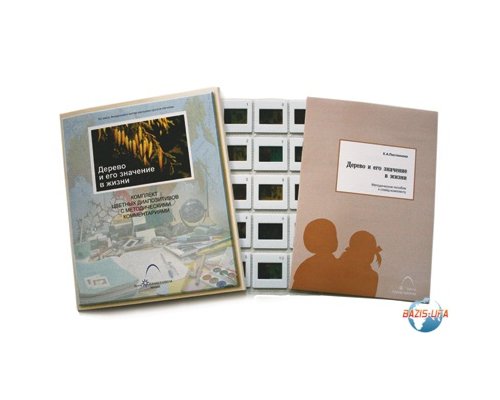 Слайд-комплект «Дерево и его значение в жизни»