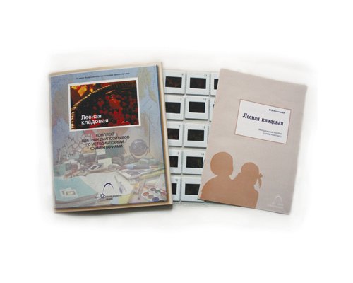 Слайд-комплект  «Лесная кладовая»