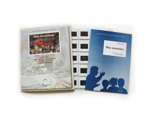 Слайд-комплект  «Мир насекомых»