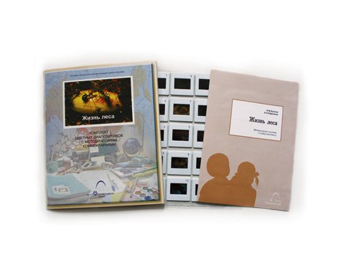 Слайд-комплект  «Жизнь леса»