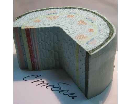 Стебель растения