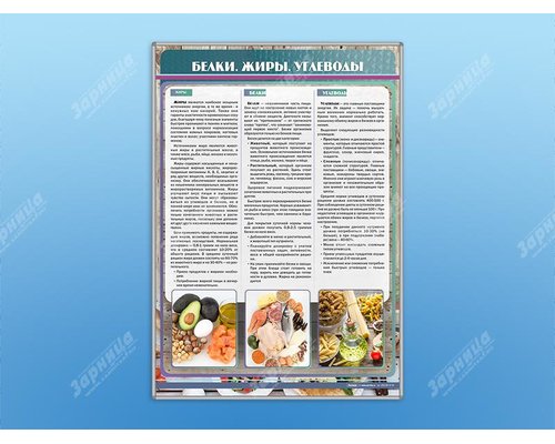Стенд "Белки. Жиры. Углеводы"
