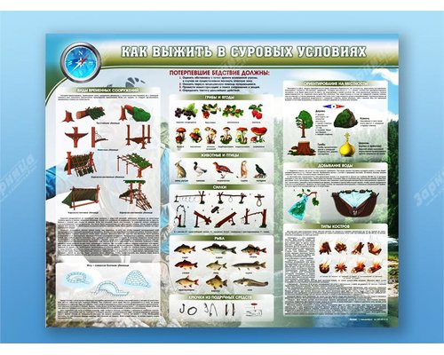 Стенд "Как выжить в суровых условиях"