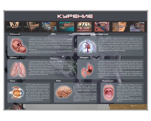 Стенд "Курение"