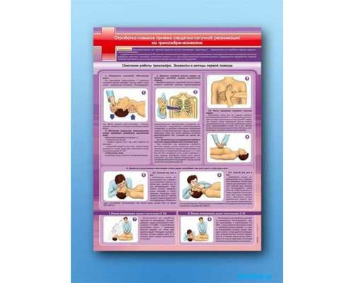 Стенд "Отработка приемов сердечно-легочной реанимации на тренажере-манекене"