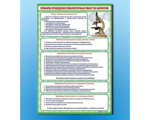 Стенд "Правила выполнения лабораторных работ по биологии"