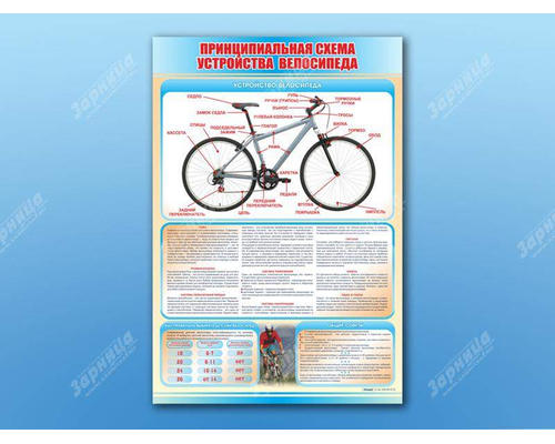 Стенд "Принципиальная схема устройства велосипеда"