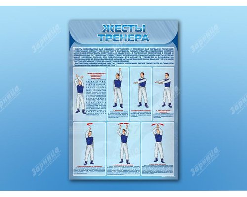 Стенд "Жесты тренера"