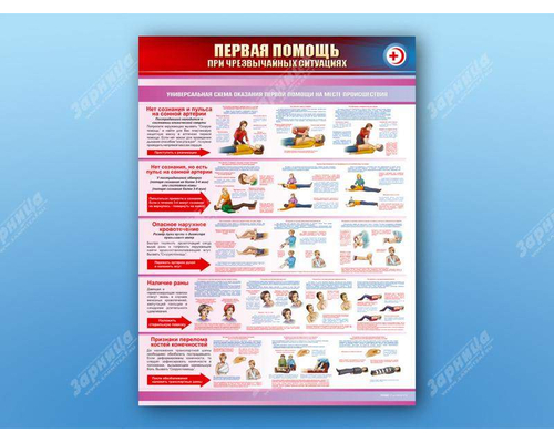 Стенды "Первая помощь в чрезвычайных ситуациях"