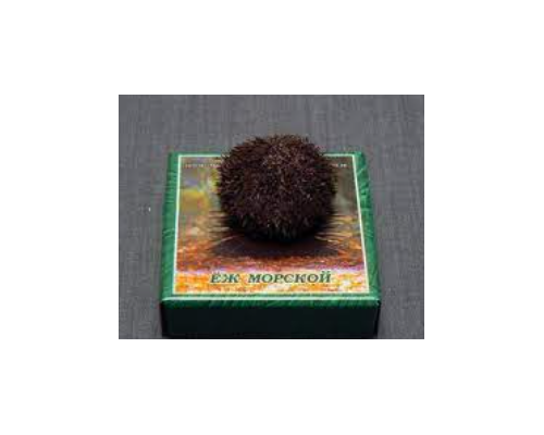 Сухой препарат "Еж морской"