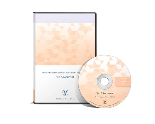 Тест Р. Амтхауэра. Сетевая версия на 6 рабочих мест